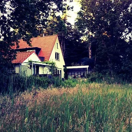 بيت للعطل Bee Bee Bungalow De Westen