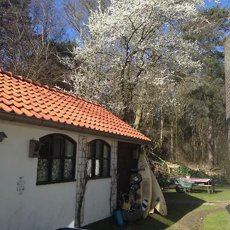 بيت للعطل Bee Bee Bungalow