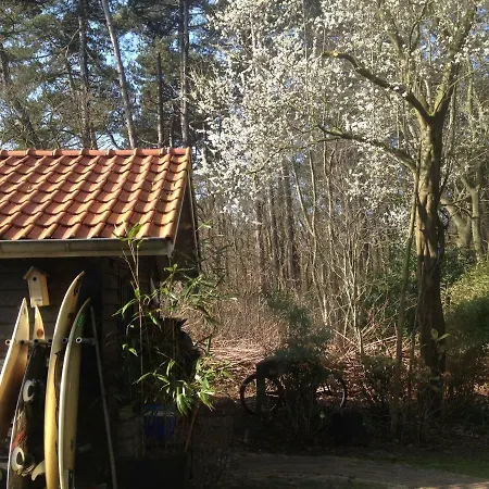 Bee Bee Bungalow بيت للعطل